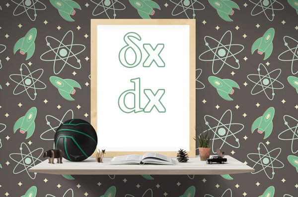 لماذا نستعمل في الفيزياء أحيانا الرمز dx وأحيانا أخرى نستعمل δx ، ما الفرق إذن بين التعبيرين ؟